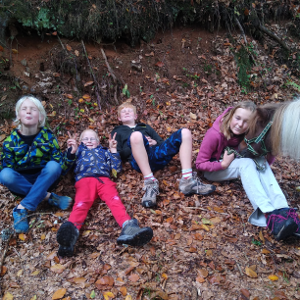 Familienzeit im Wald mit Pferdegestütztes Coaching Breindl in Furtwangen