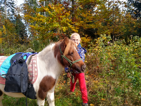 Pony Mimi mit Kind bei Pferdegestütztes Coaching Breindl im Wald