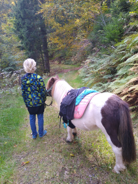 Spaziergang mit Kind und Pony im Wald, Familienzeit Angebot Pferdegestütztes Coaching Breindl