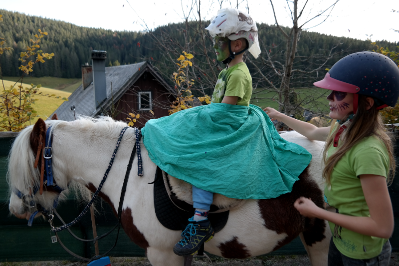 Pferdegestütztes Coaching - Kinder Halloween Angebot: Hexenritt