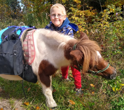 Pferdegestütztes Coaching Breindl: Ponyzwerge