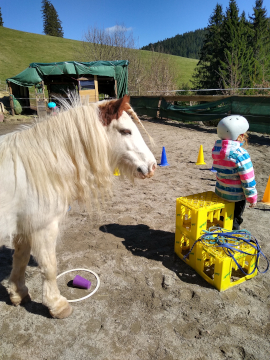 Kind mit Pony bei Pferdegestütztes Coaching Breindl in Furtwangen