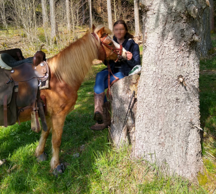 Pony mit Kind im Wald bei Pferdegestütztes Coaching Breindl in Furtwangen