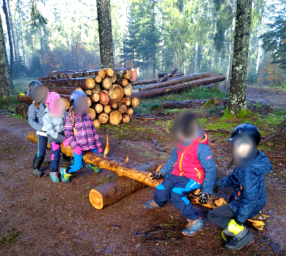 Pferdegestütztes Coaching Breindl: Waldkunst - Kinder haben eine Wippe gebaut
