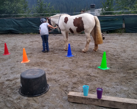 Pony Parcour bei Pferdegestütztes Coaching Breindl in Furtwangen