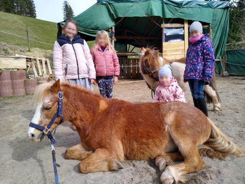 Kinder mit Pony bei Pferdegestütztes Coaching Breindl in Furtwangen